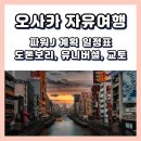 일본 오사카 자유여행 일정 4박 5일 파워J, 교토, 유니버셜, 일정 공유, 계획표