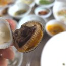 벌교꼬막정식 | 앞산 맛집 | 김경희벌교꼬막정식 | 삶은 꼬막부터 꼬막무침과 비빔밥까지 꼬막으로 배터지는 맛집 후기