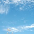 귀래생태공원 이미지