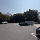 풍자농원 이미지