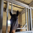 원효로 R 이미지