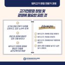 마스터제이엘 이미지