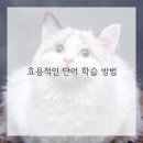 망포고등학교 이미지