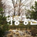 와룡공원 이미지