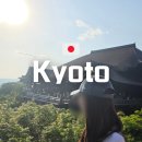 여우골짜기 달정원 | 오사카 교토 여행 교토 버스투어 당일치기 코스 내돈내산 추천 후기