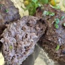 동암 | [부산 맛집] 한정식 + 뷔페 기장 맛집 점심 동암떡갈비 솔직후기