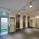 멍얀트리 이미지