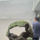 수석연합회 회원전 이미지