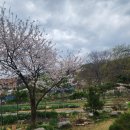 경희임내과의원 이미지