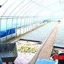 기종축산 이미지