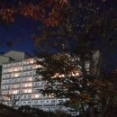 대명 게임장 이미지