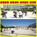죽도초등학교 이미지