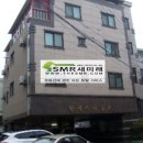 무룡태권도장 이미지