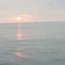 땅콩민박 이미지