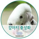 어울림동물메디컬센터 네이버블로그