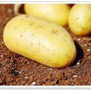 이레마트 이미지