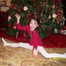 복실강아지 이미지