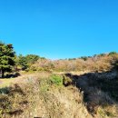 들레목장 이미지