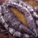 해신수산 이미지