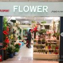 FLOPORT