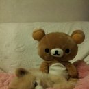 부