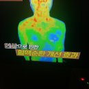 장생인삼