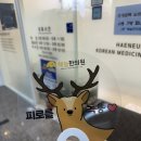 도안한의원 | 대전 해늘한의원/ 산후보약 내돈내산 후기