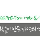 목사내아 기타 이미지