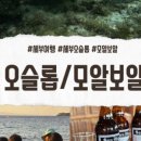 오델리스 이미지
