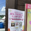 제7회 하동북천코스모스메밀꽃축제 | 제18회 하동 북천 코스모스 메밀꽃 축제 다녀왔어요!