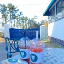 멍멍아 여기어때 이미지