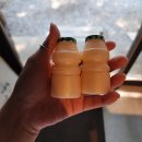까치네 - 20315 | 화성 병점 맛집 | 한우사골 칼국수 주말 웨이팅 후기(+주차정보) | 까치네