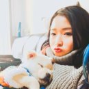 개똥이 이미지