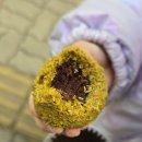 보름달과자점 | 대전 두쫀쿠 맛집 보름달과자점 유성 원신흥동 디저트카페