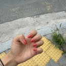 히요네일 이미지