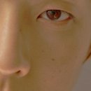 타임라인(주) 이미지