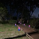 청사초롱 이미지