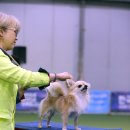 히든밸리켄넬 이미지