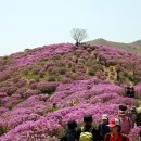 합천이불
