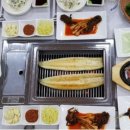 허가네장어