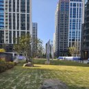 개포조은공인중개사사무소 이미지