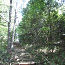 [한국의 아름다운 숲 33] 전남 강진 다산초당~백련사간 숲길 이미지