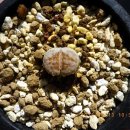 햇살한의원 이미지