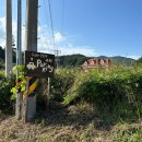 숲속빨간벽돌집 | [공지] [강릉] 오롯이 🐈 (숲 속에서 즐기는 조용한 아지트 🌳🛖 주문진 시골집 감성카페 / 조용히 사색...