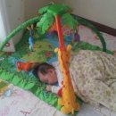 토이팡팡 이미지