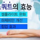 비채나점핑