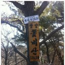 2014년 3월27일 제33차 쫓비산(광양.매화축제) 정기산행 이미지