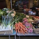 안시프랑스 이미지