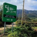 달마스테이 이미지