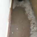 하단동119 이미지